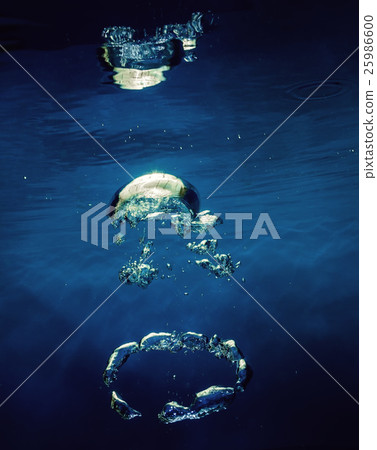 Air bubbles under water 25986600
