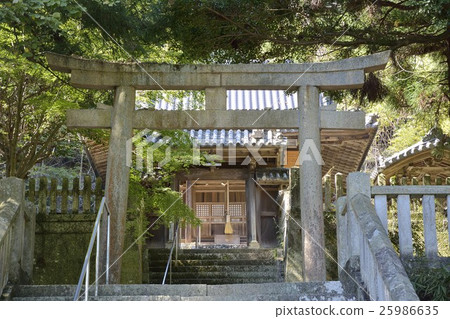 辰野神社 辰野神社 25986635