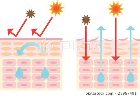 Dry skin and healthy skin Dry skin and healthy skin 25987491