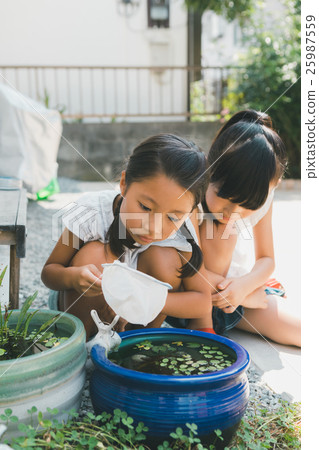 younger, girl, girls 25987559