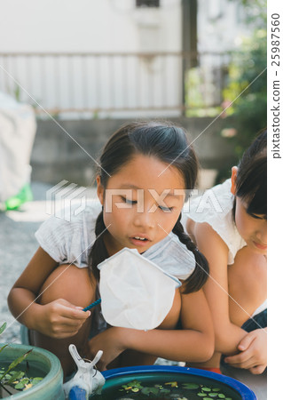 summer holiday, younger, girl 25987560