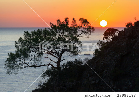 Colorful sea beach sunrise. Olympos Beach, Cirali Colorful sea beach sunrise. Olympos Beach, Cirali 25988188