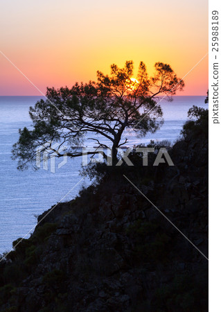 Colorful sea beach sunrise. Olympos Beach, Cirali Colorful sea beach sunrise. Olympos Beach, Cirali 25988189