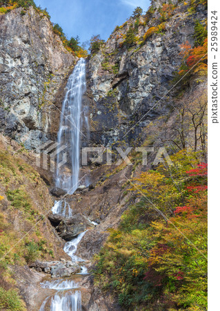 福井瀑佈在秋天 福井瀑佈在秋天 25989424