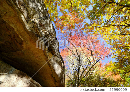 Megalith and autumn leaves Megalith and autumn leaves 25990009