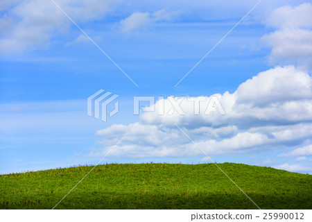 Prairie background Prairie background 25990012