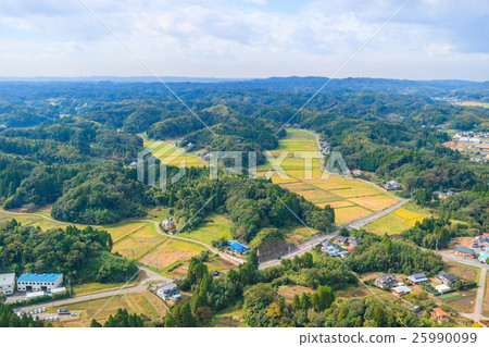 拍下長門町En本櫻花周圍 25990099