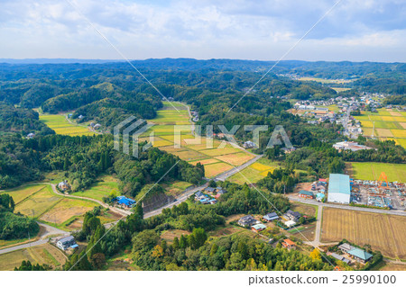 拍下長門町En本櫻花周圍 25990100