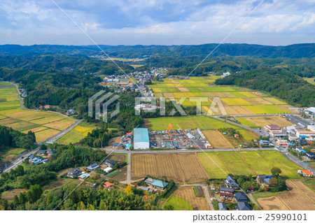 拍下長門町En本櫻花周圍 25990101