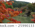 Autumn leaves of Hida Takayama 25990133