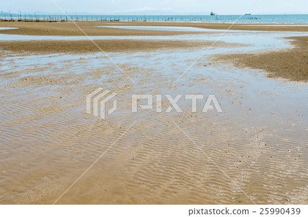 Shirahama Beachfront Low tide 25990439