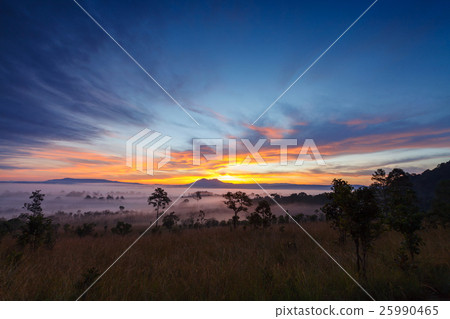 Misty morning sunrise at Thung Salang Luang Misty morning sunrise at Thung Salang Luang 25990465