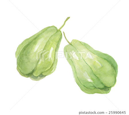 Hayato Umi Hayatouli Hayato Umi Hayatouli 25990645