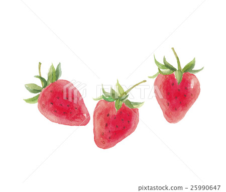 草莓草莓 25990647