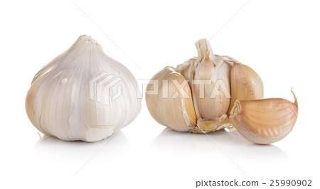garlic on white background garlic on white background 25990902