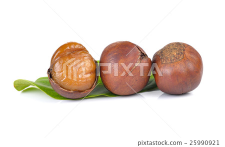 chestnuts on white background chestnuts on white background 25990921