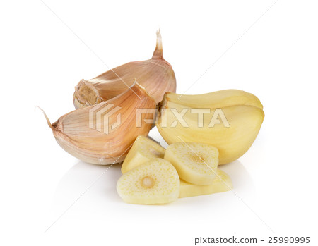 garlic on white background garlic on white background 25990995