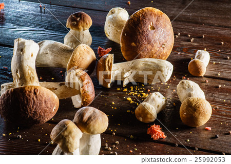 fresh boletus fresh boletus 25992053