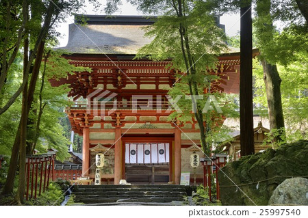 Hiyoshi Taisha Higashi Hongomon 25997540