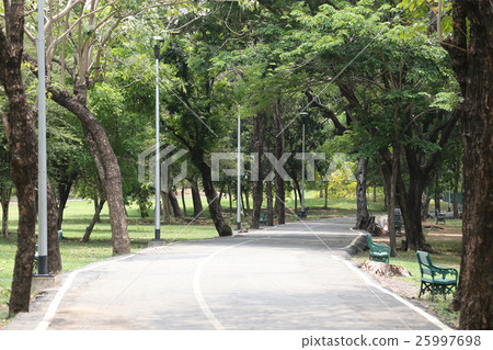 Road in the public park. Road in the public park. 25997698