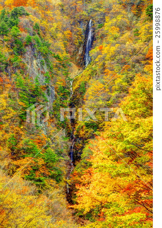 Kinshu的高山村Yasaki 25998876