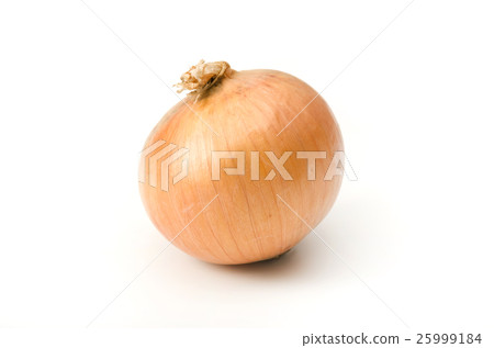 蔥 蔥 25999184