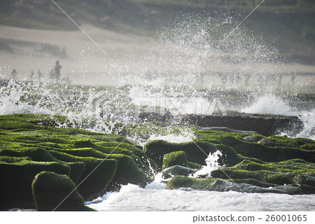 綠色的老梅石槽 綠色的老梅石槽 26001065