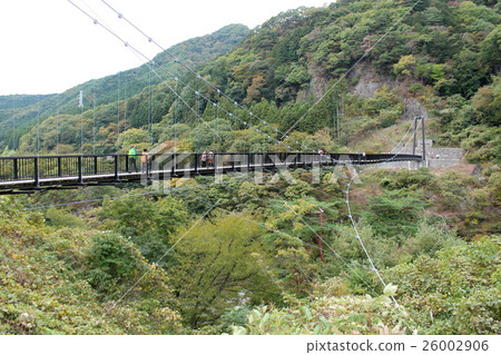 Kinugawa Onsen, Shiroi Dai Suspension Bridge 26002906