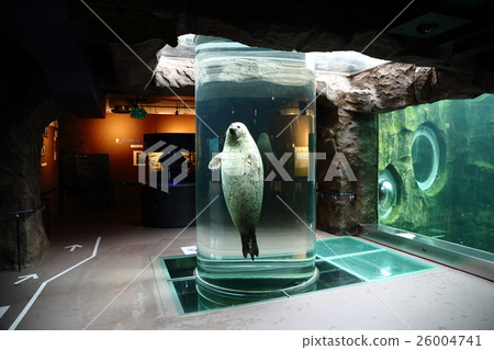 Azarashi column aquarium Azarashi column aquarium 26004741