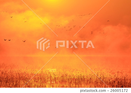 Morning of Izu-numa, Kurihara-shi, Miyagi prefecture Morning of Izu-numa, Kurihara-shi, Miyagi prefecture 26005172