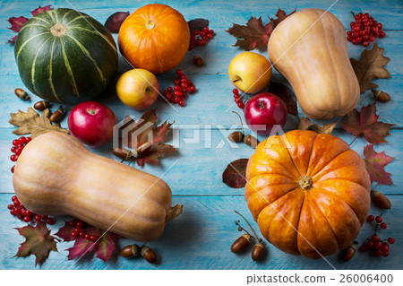 Thanksgiving concept with pumpkins and leaves Thanksgiving concept with pumpkins and leaves 26006400