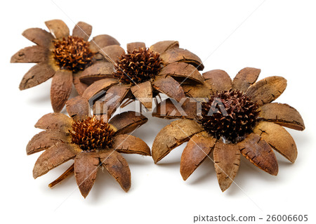 beautiful artificial flowers isolated on white beautiful artificial flowers isolated on white 26006605