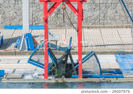 印度水磨坊/北海道千歲市 26007978