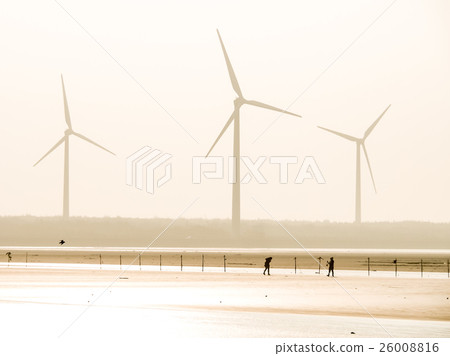 Gaomei Wetland Gaomei Wetland 26008816