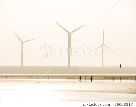 Gaomei Wetland Gaomei Wetland 26008817