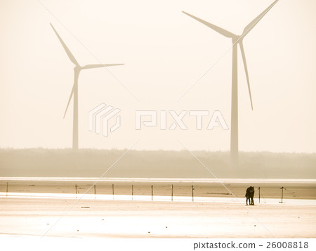 Gaomei Wetland Gaomei Wetland 26008818