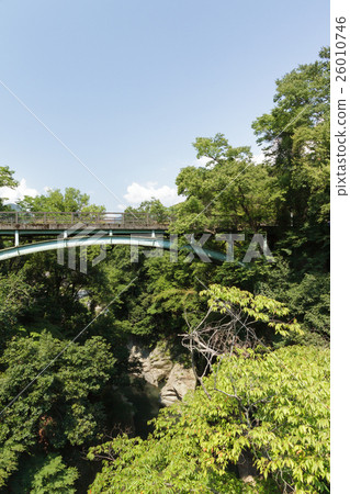 Sunny in the Saruibashi 26010746