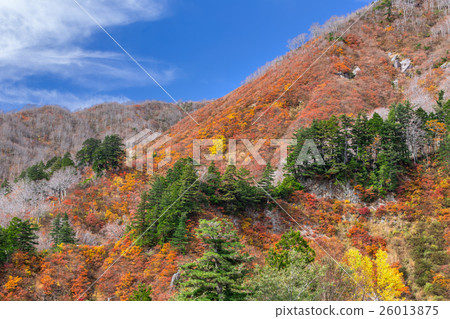 White leaves of Hakusan Shirakawago White road White leaves of Hakusan Shirakawago White road 26013875