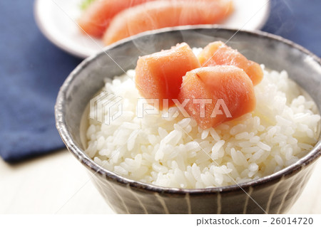 Takoko with rice 26014720