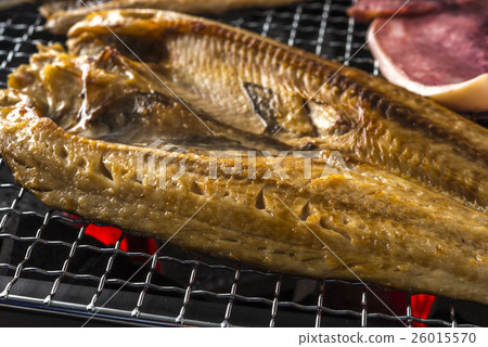 熱魚 熱魚 26015570