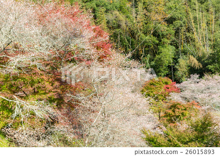 Obara Toyota Nagoya Japan Obara Toyota Nagoya Japan 26015893