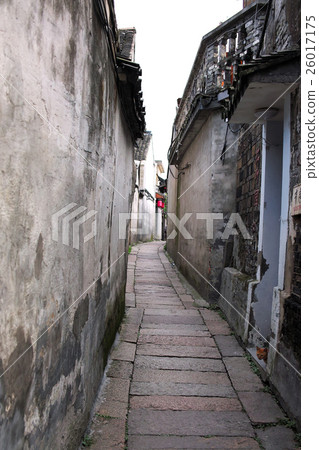 Vertical composition of alley with Chinese Nishitango cat 26017175