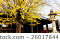 Autumn leaves in Kyoto 26017844