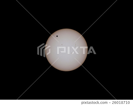 Venus day pass 26018710