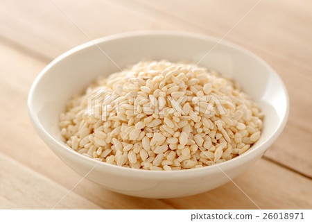 Malted rice  26018971