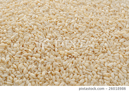 米糠 米糠 26018986