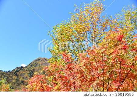 Nanakamado and bamboo shoots 26019596