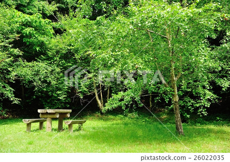 我們去野餐吧 26022035