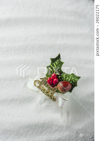 Christmas Image 26022175