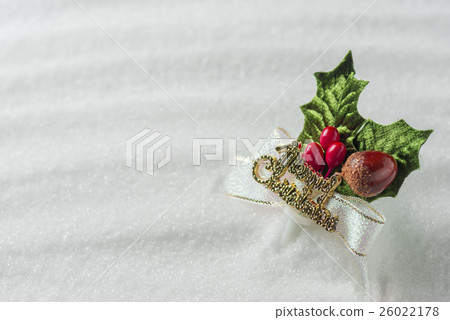 Christmas Image 26022178